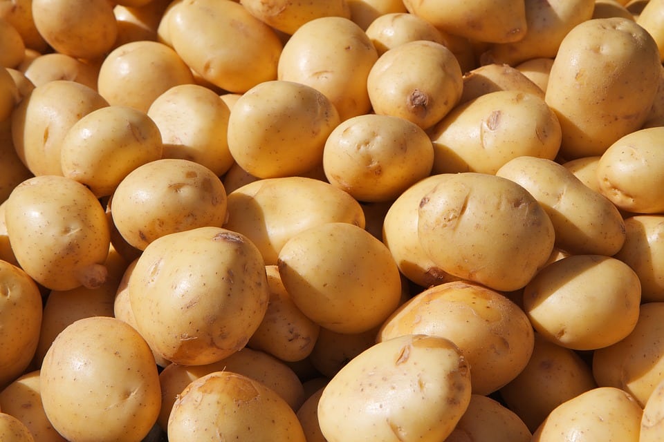 Kartoffel Kartoffelsaft