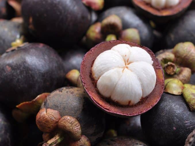 Mangostan Mangostansaft