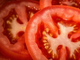 Tomaten für Tomatensaft